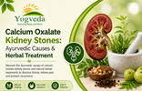 Calcium Oxalate Kidney Stones: Ayurvedic Causes & Herbal Treatment