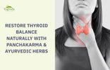 Restore Thyroid Balance