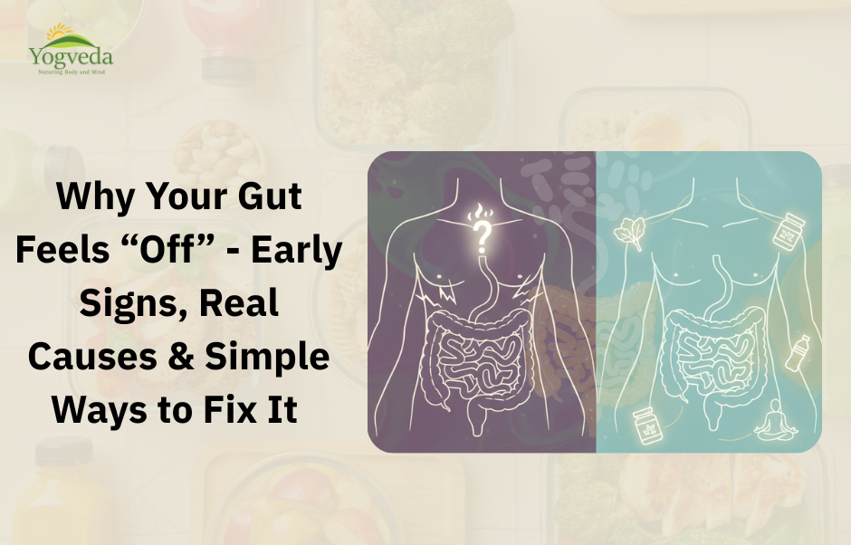 Best Gut Health Supplement