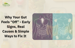 Best Gut Health Supplement