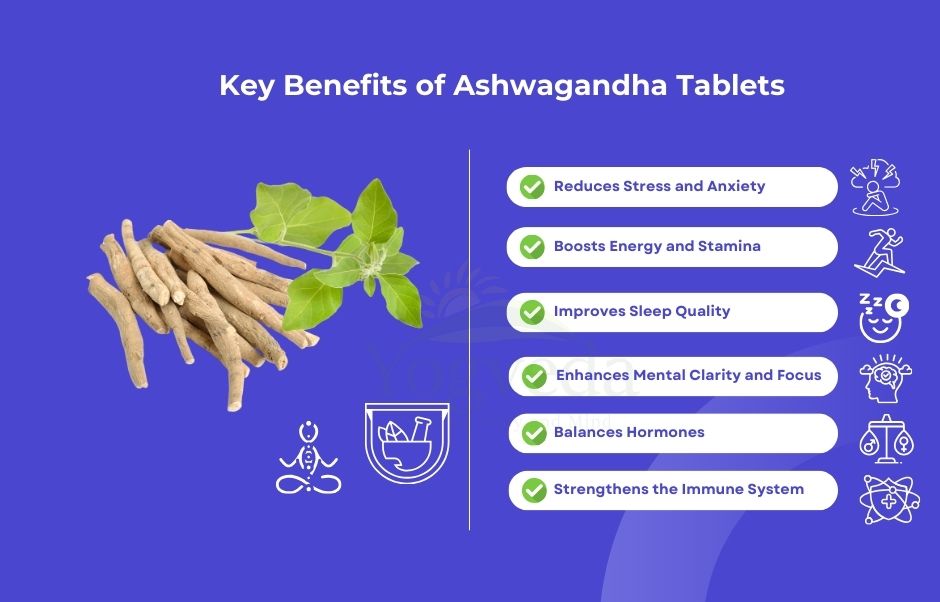 Boost Your Energy Levels with Ashwagandha: The Ayurvedic Powerhouse