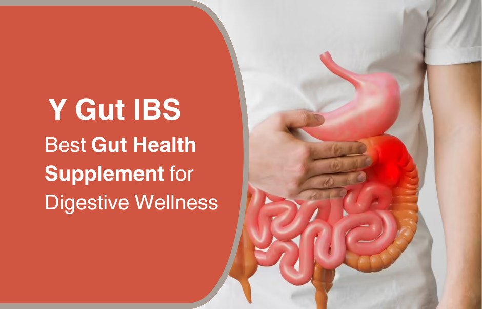 Best Gut Health Supplement for Digestive Wellness