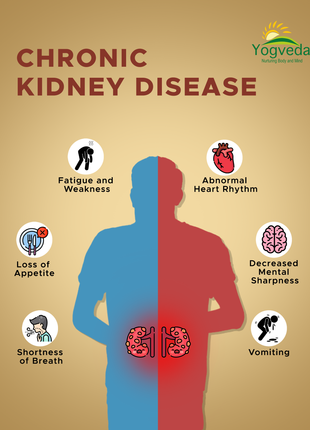 Ayurvedic CKD Treatment 