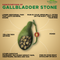 Ayurvedic Treatment for Gallstones 