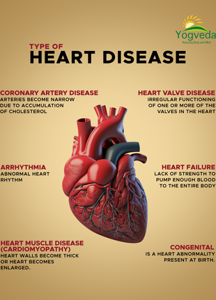 Ayurvedic Heart Treatment 