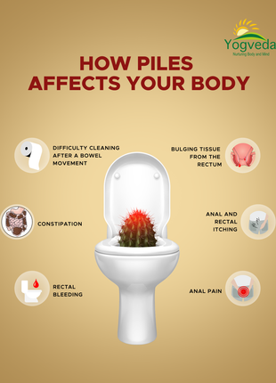 ayurvedic piles treatment