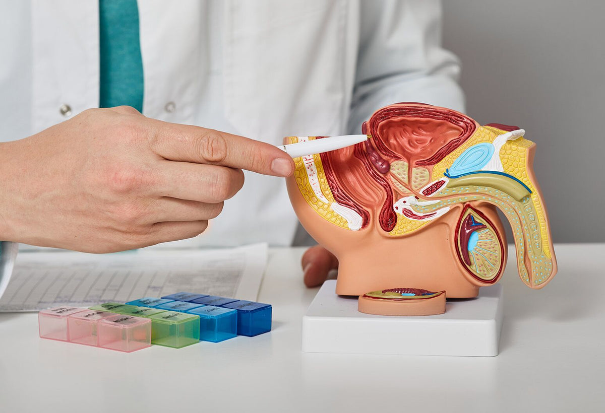 Prostate Treatment – Yogveda Healthcare