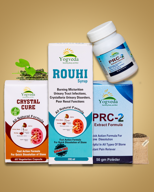 ayurvedic medicines for kidney stone